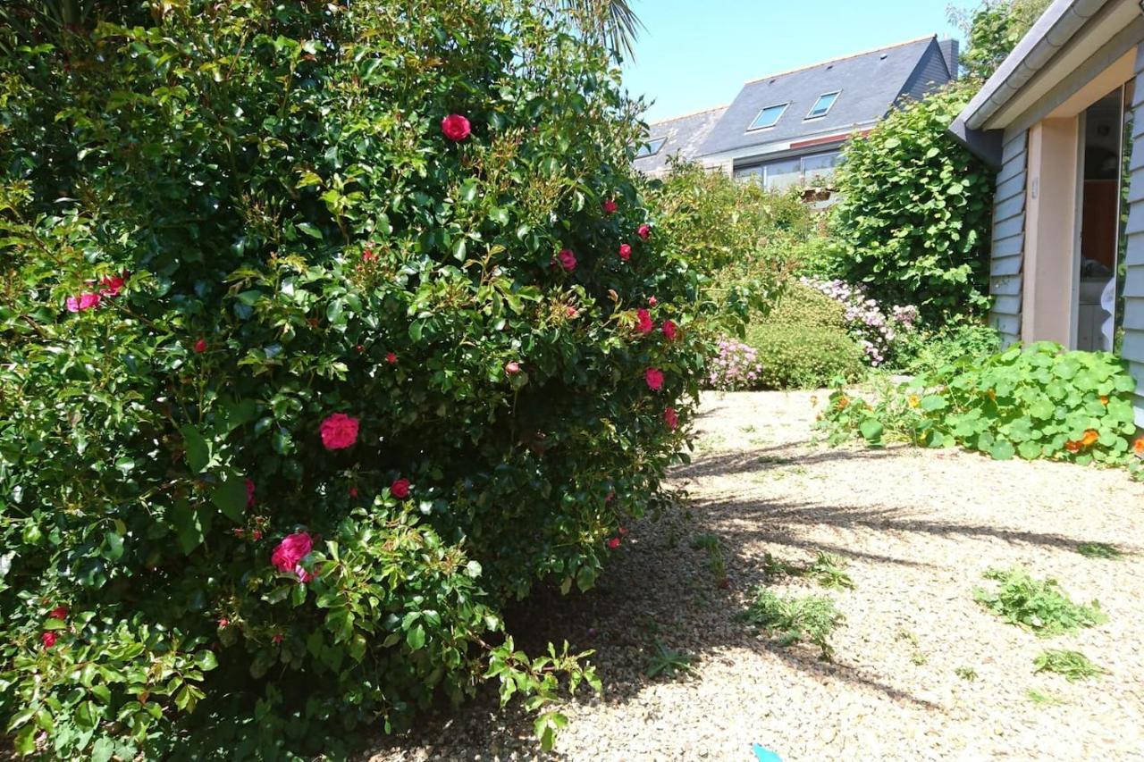Le Petit Cottage Entre Village Et Mer Trelevern Exterior photo